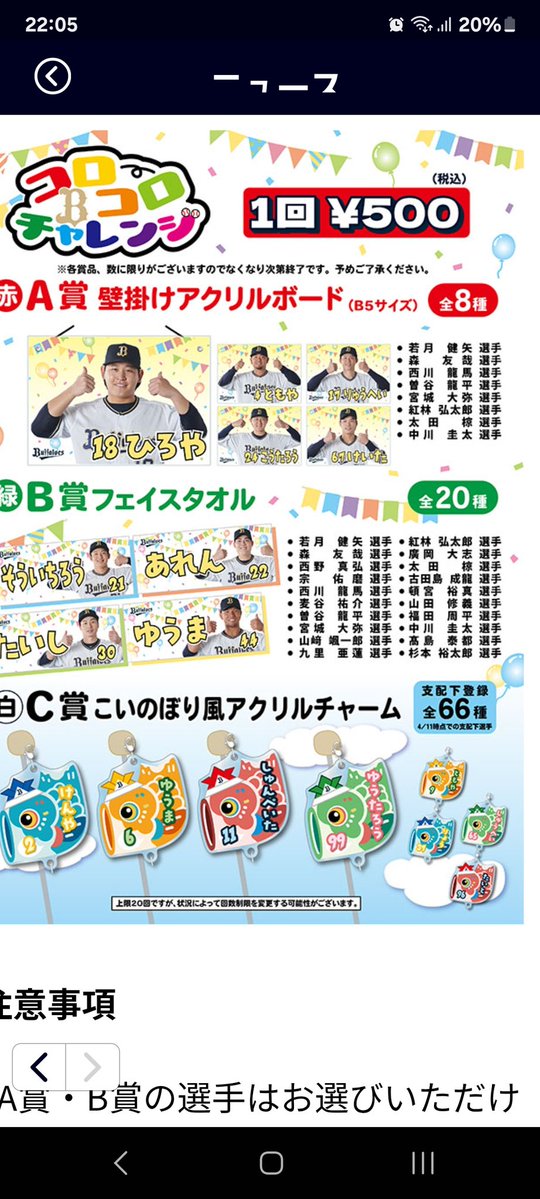 愛犬ぷりん（プリン） tweet media