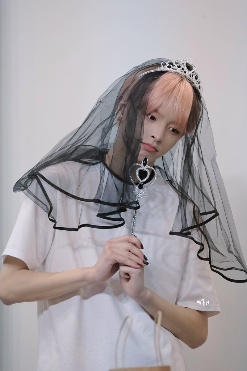 배졸귀 tweet media