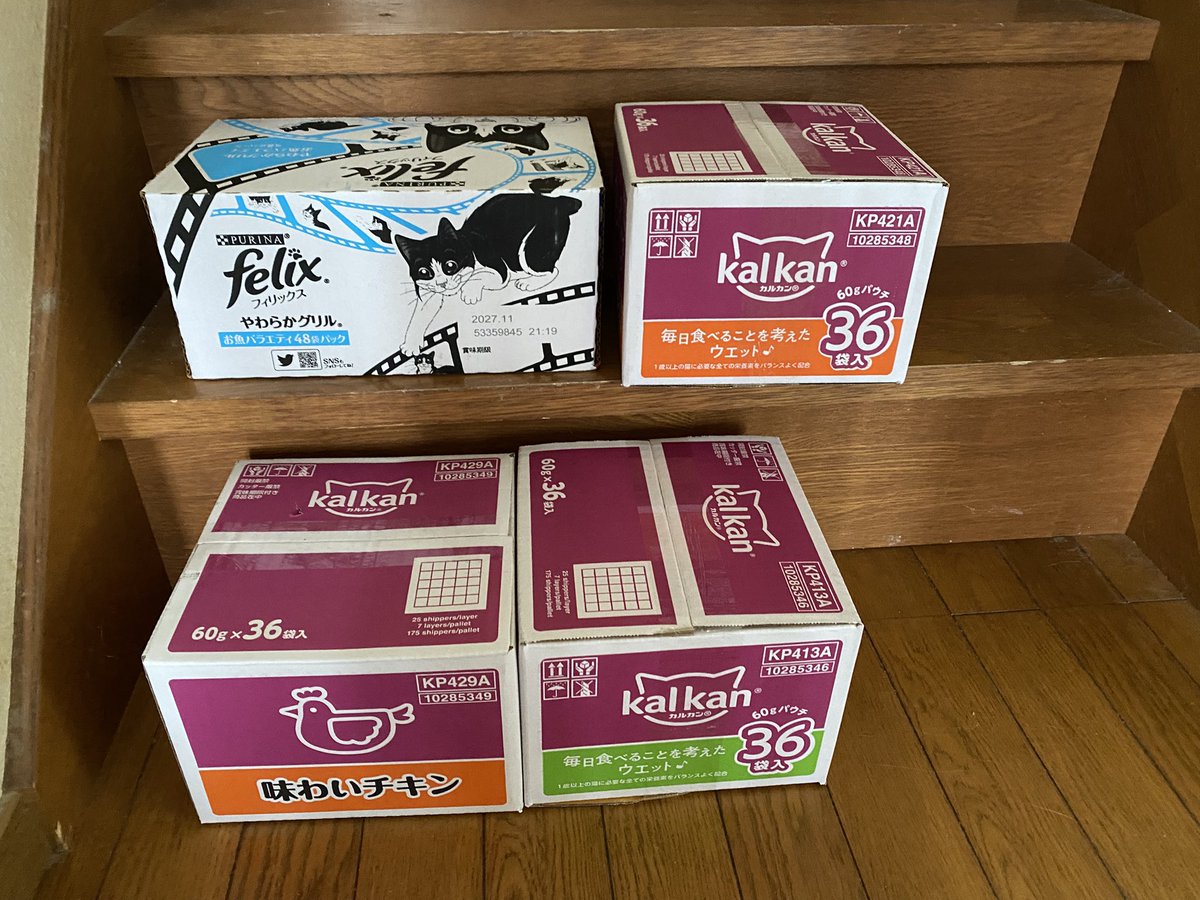 里親募集　かわ　かーさん tweet media