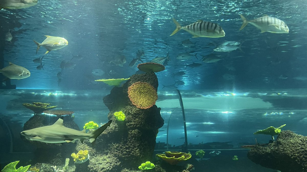 riri | UPCAT PASSER 🌻 tweet media