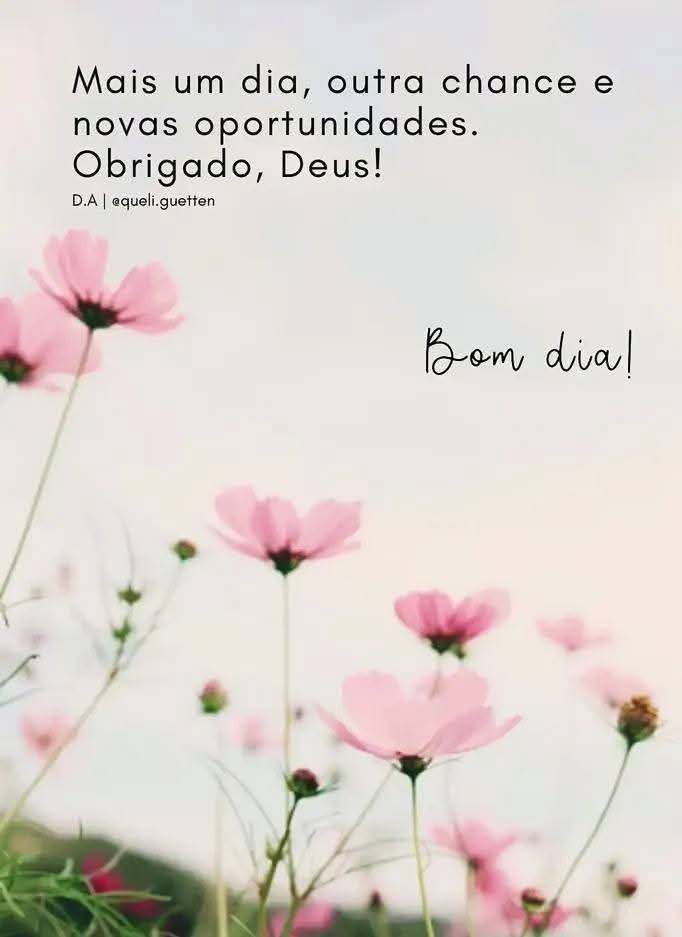 Paulo 🇧🇼🇧🇼🇧🇷🇧🇷 tweet media