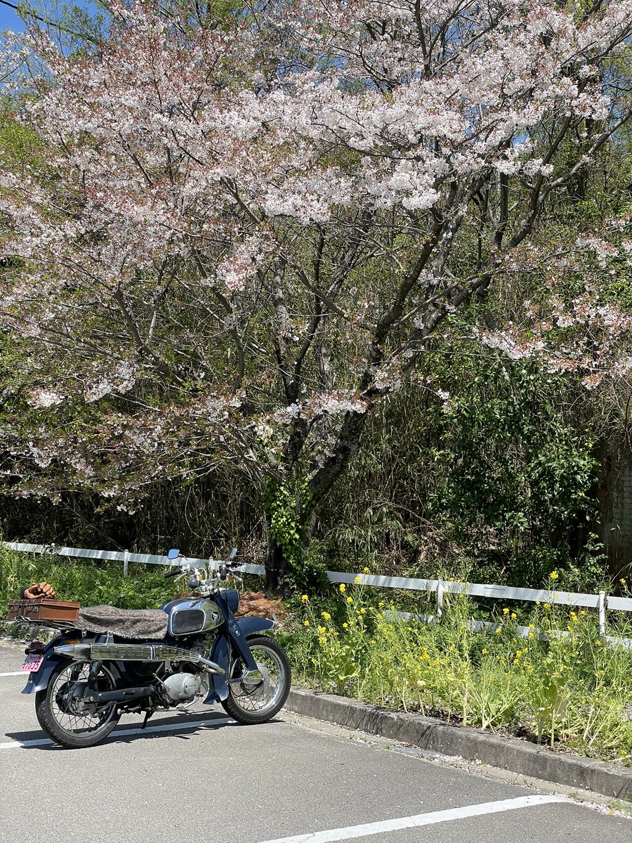 さとぼう tweet media