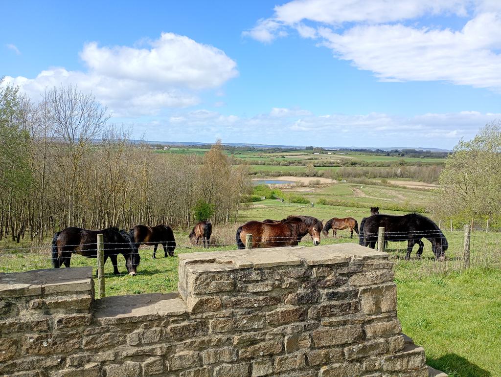 Becky Spence tweet media