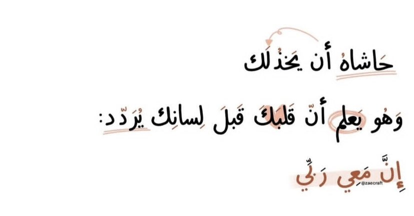 L tweet media