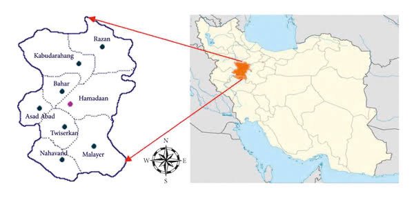 Megatron tweet media