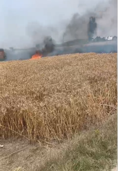 bstvlive's tweet image. मेरठ : 11000 लाइन में फाल्ट से जली गेहूं की फसल

➡32 बीघा फसल करंट फैलने से जलकर राख
➡सुभाष, महासिंह, शोभा, चिंतादेवी, रामसिंह की फसल जली
➡मेरठ के बहचोला में PVVNL अफसरों की लापरवाही
➡बिजलीघर के बाहर धरना देने बैठे किसान

#Meerut #Farmers #Electricity @UPPCLLKO