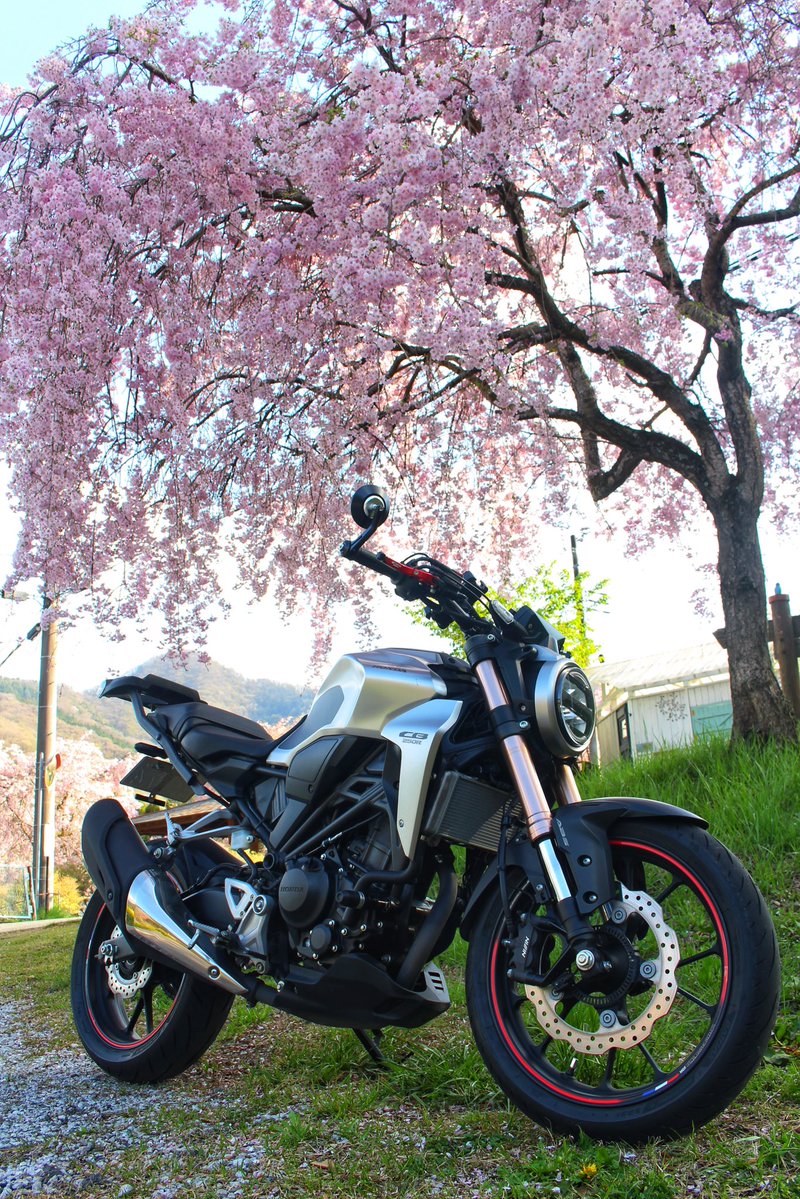 さやえんどう tweet media