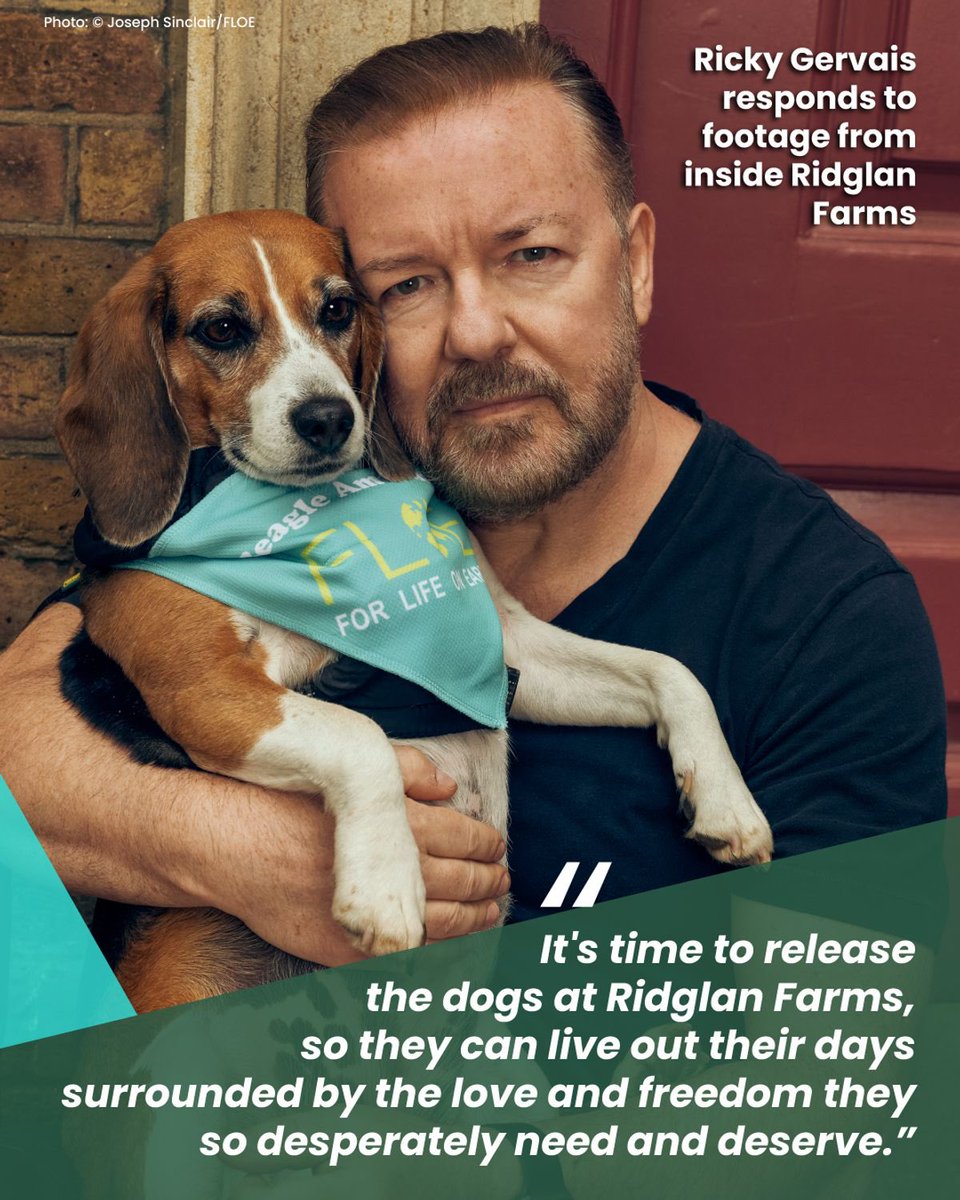 PROTECT ALL WILDLIFE tweet media