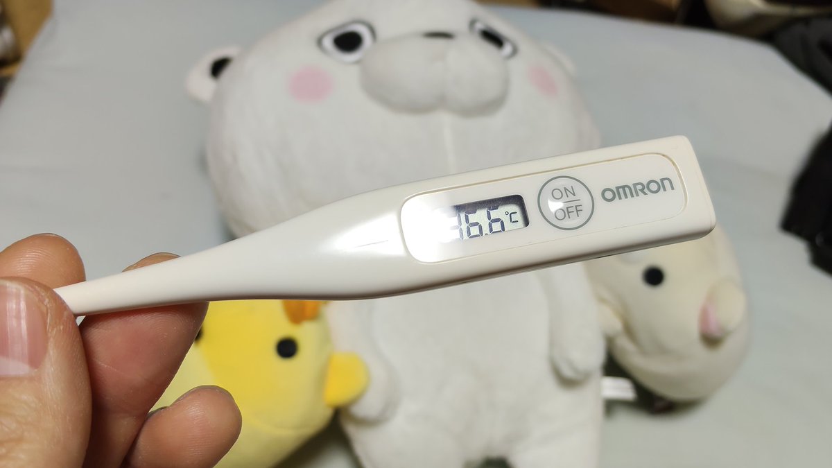 たまにこうじ【雪】→真矢さんへI for Youを届けたい企画🌸 tweet media