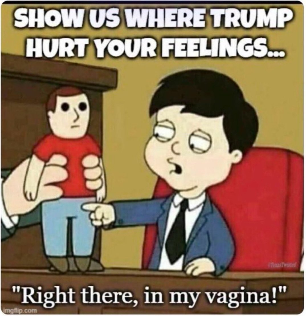 Trump supporter tweet media