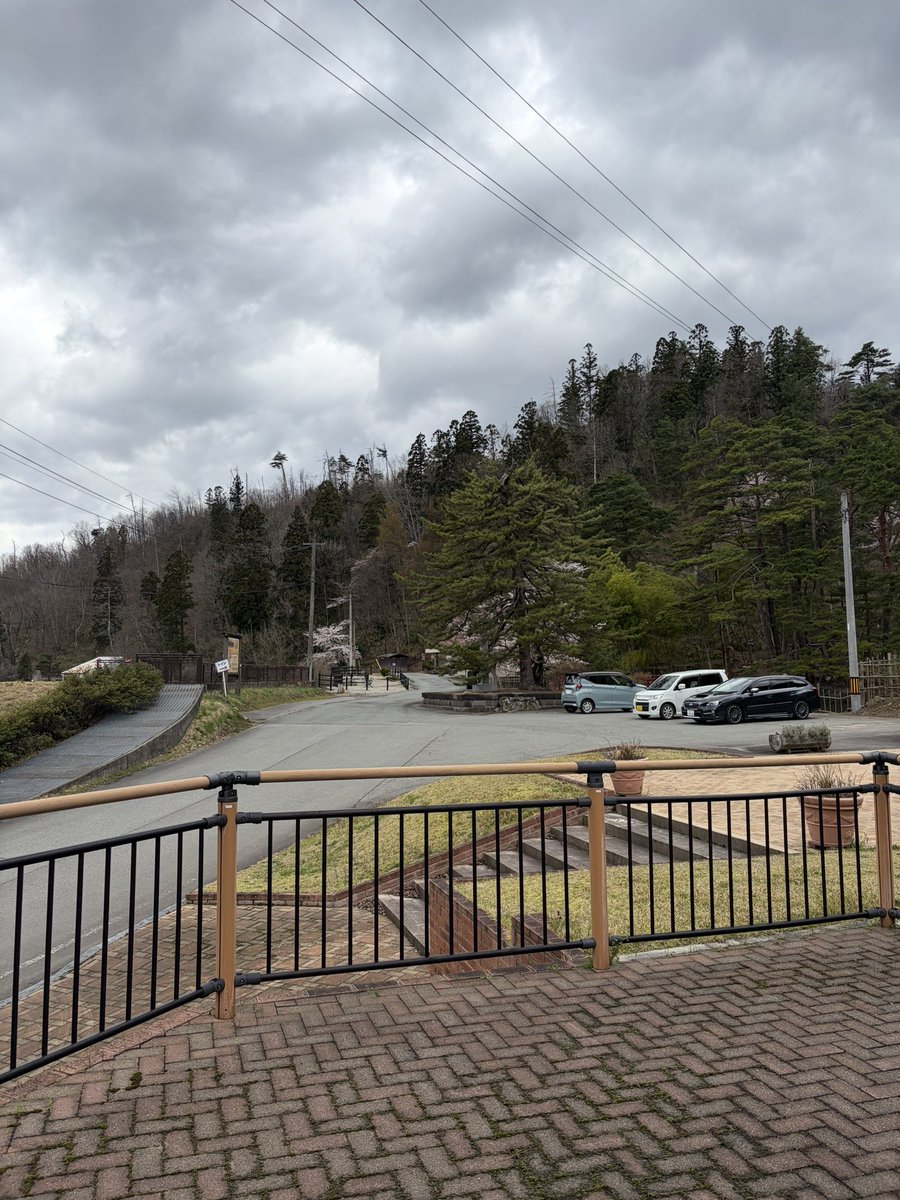 関根係長 tweet media