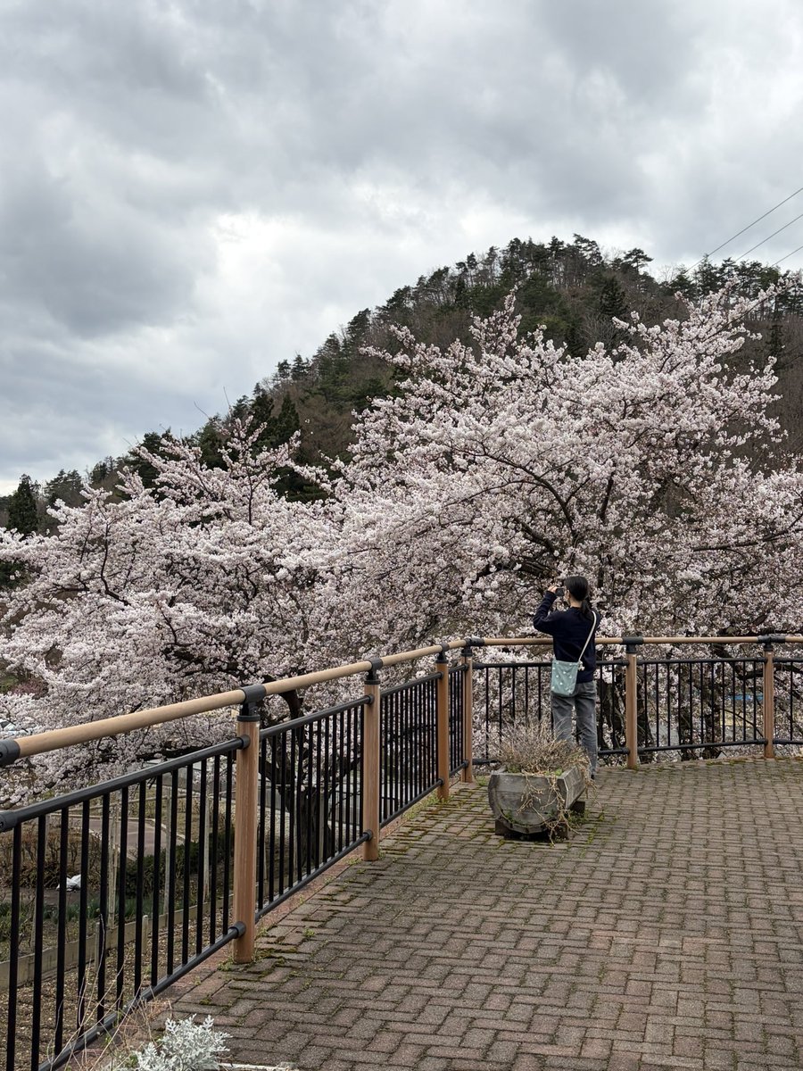 関根係長 tweet media