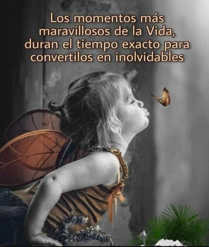 Yaritza Romero✨ tweet media