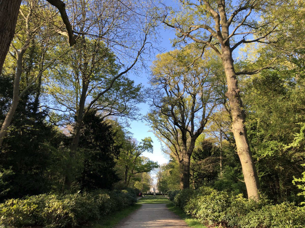 Brad 🇳🇱 tweet media