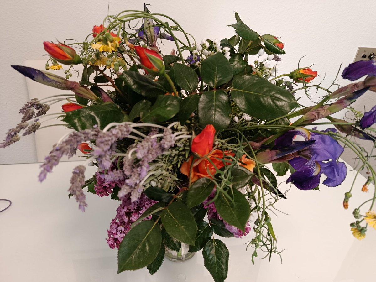 Ana Device 🎶📚🎬🪻 tweet media