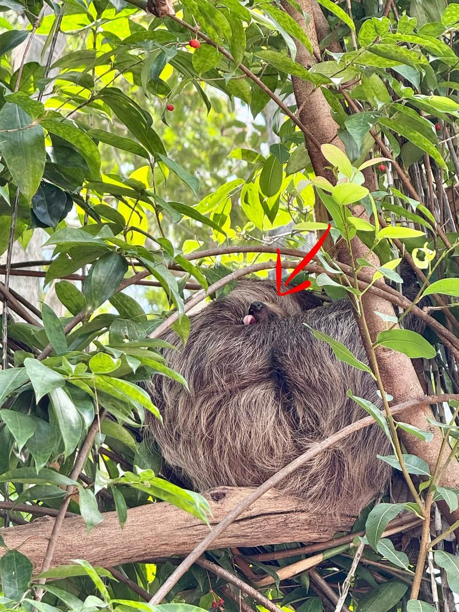 Khamoo.andthegang tweet media