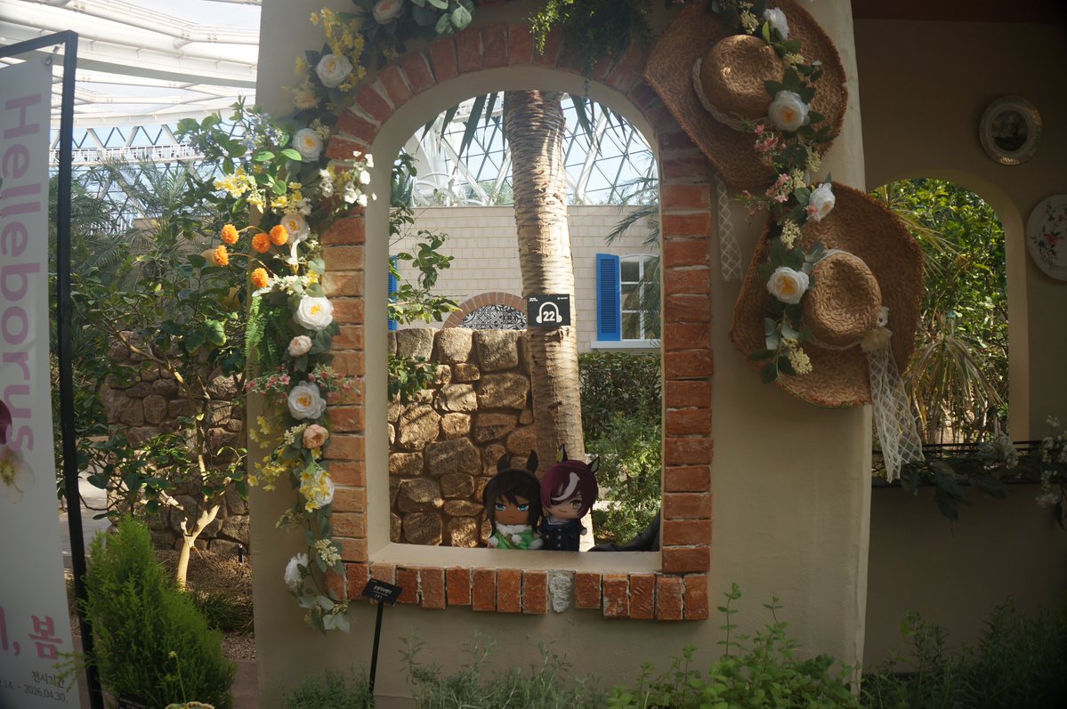 宿命ぬい tweet media