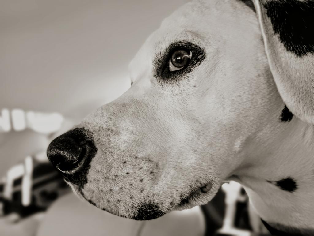 Becky Spence tweet media