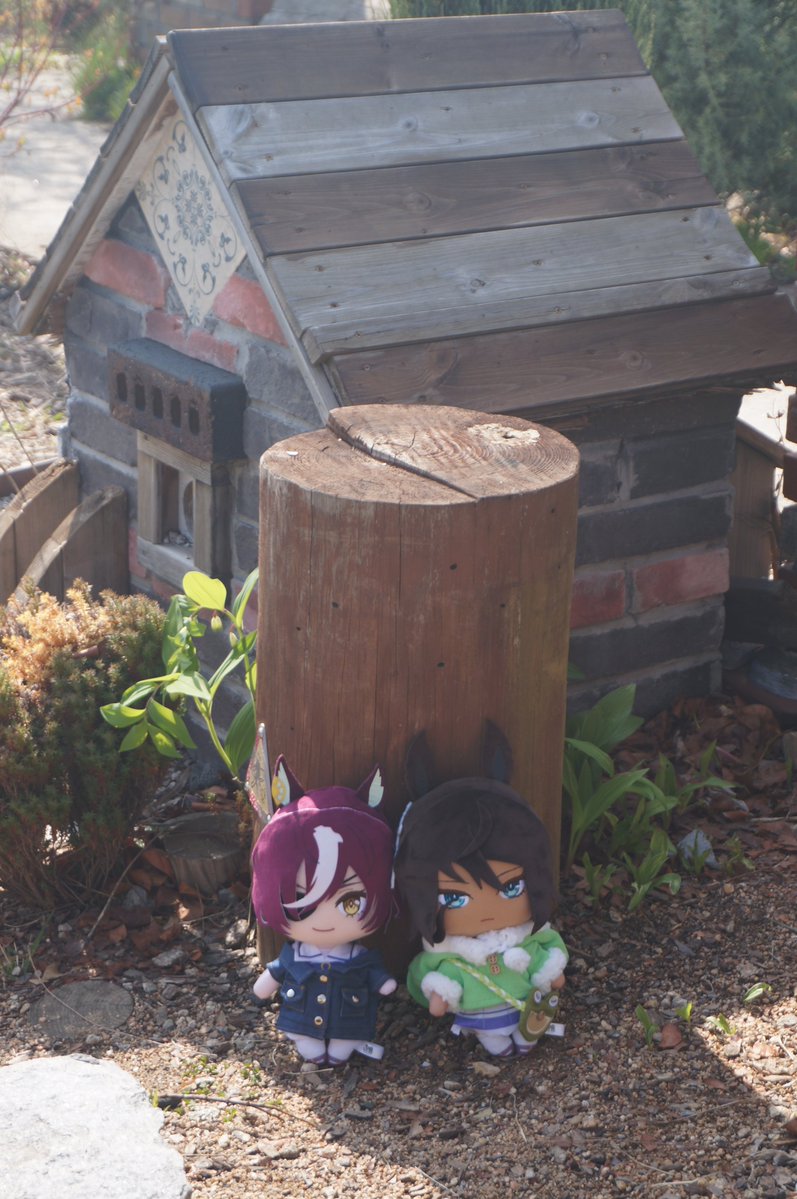 宿命ぬい tweet media