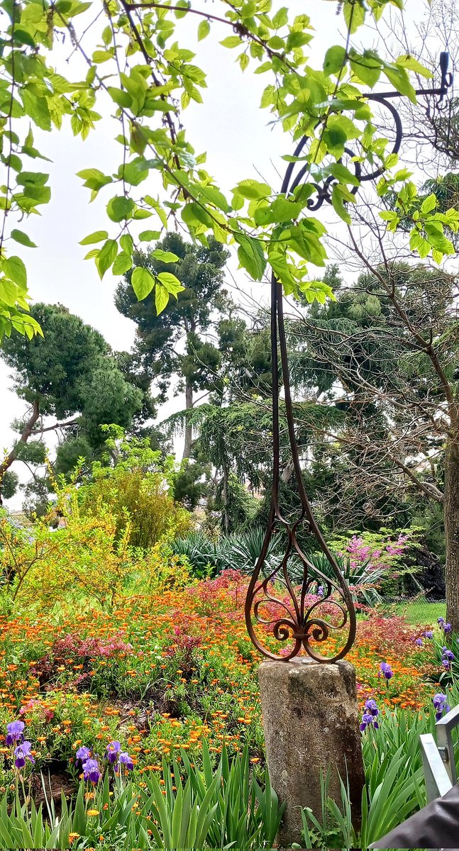 La gente de Chamberí  hemos disfrutado mucho del paseo por esta espectacular Quinta con la  <a href="/PlataformaQTA/">Plataforma Quinta Torre Arias</a>. La floración en plena ebullición,  los colores, los olores, y la buena compañía. Gracias.
Es imprescindible preservar en su integridad este legado de Madrid.