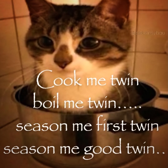 brainrot dimension tweet media