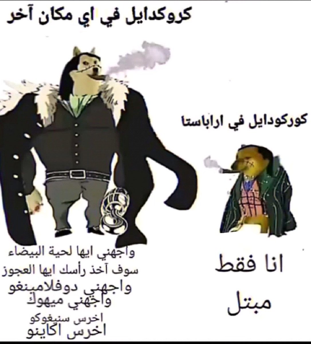 هيثم 🦦 tweet media