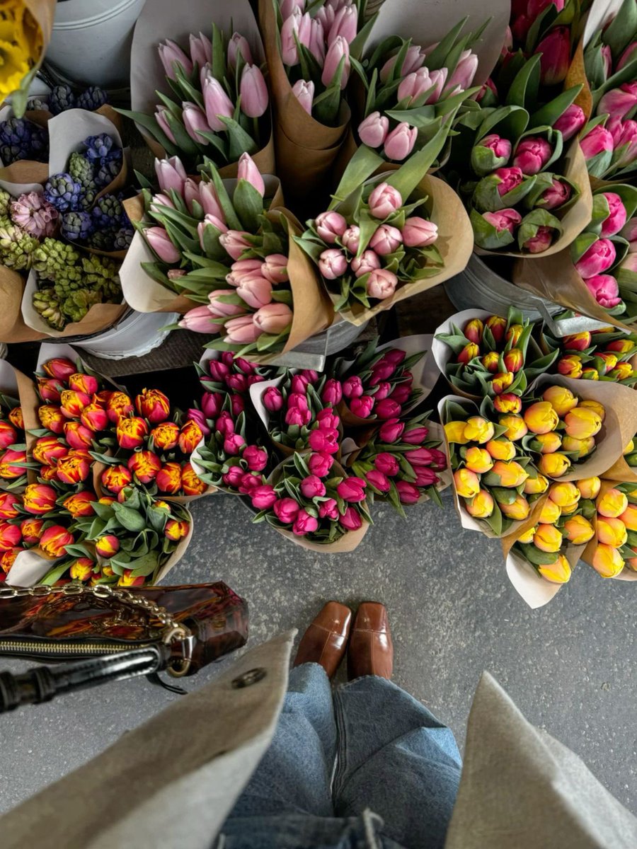 Only Tulips tweet media