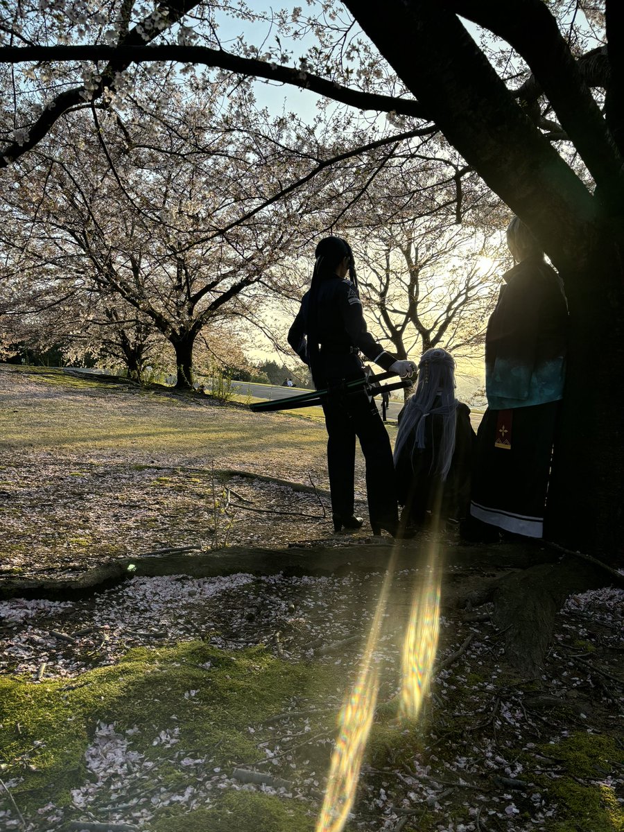 りる🐻🍼 tweet media