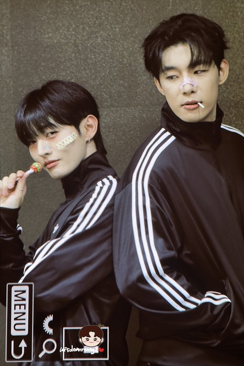 위즈덤룽이ʕ •ᴥ•ʔ tweet media