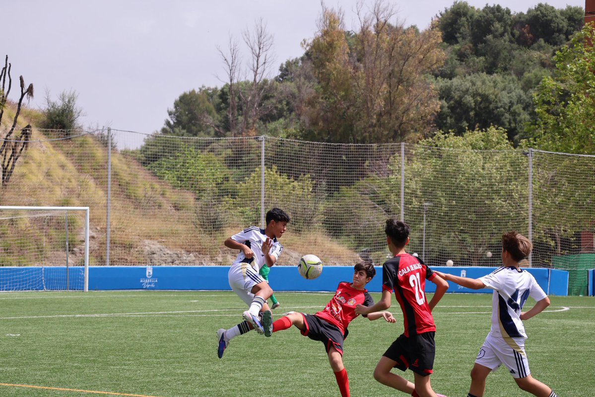 Marbella FC Talents tweet media