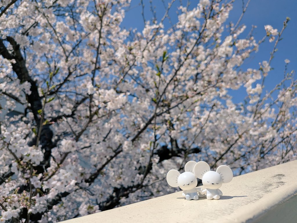 おじょー🍊⛵ tweet media