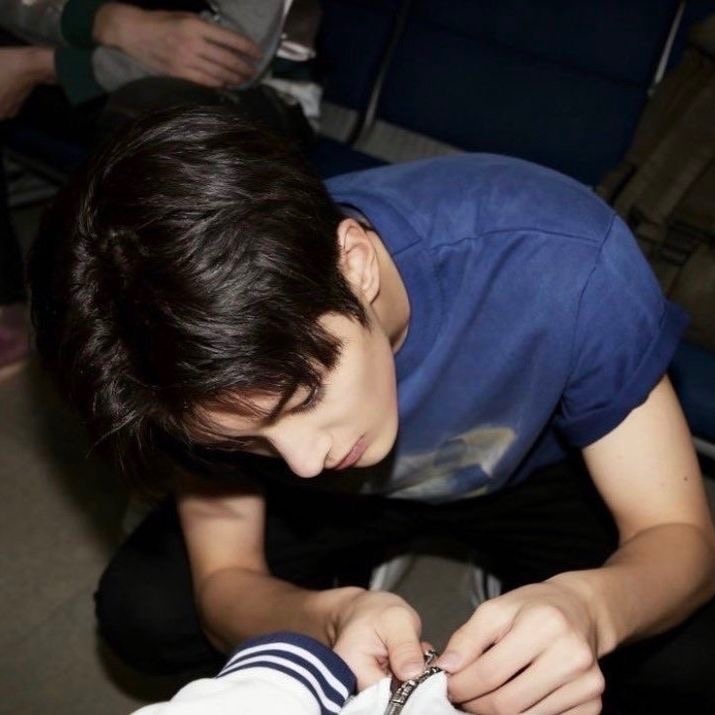 Woodsy Corner. tweet media