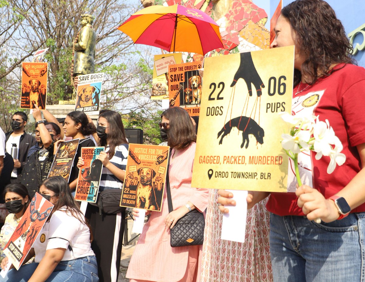 The Times Of India tweet media