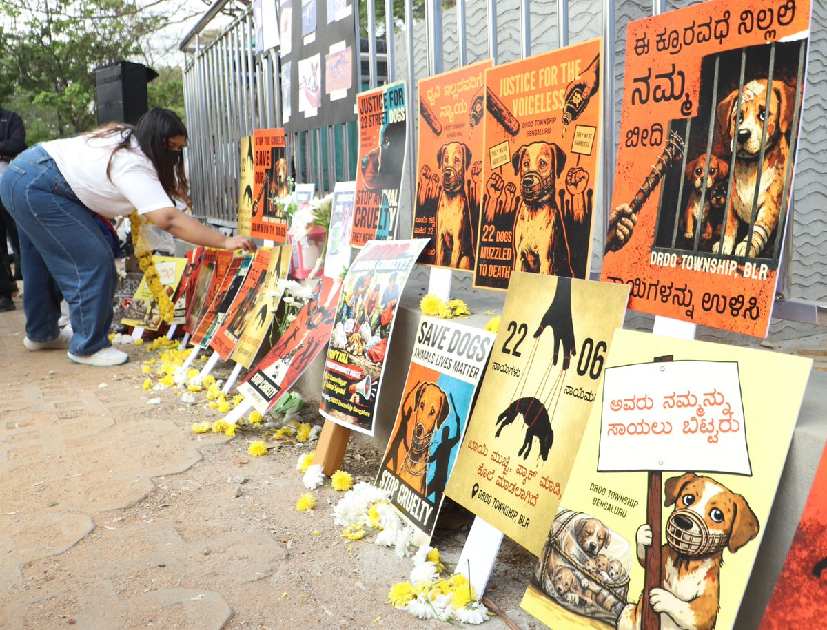 The Times Of India tweet media