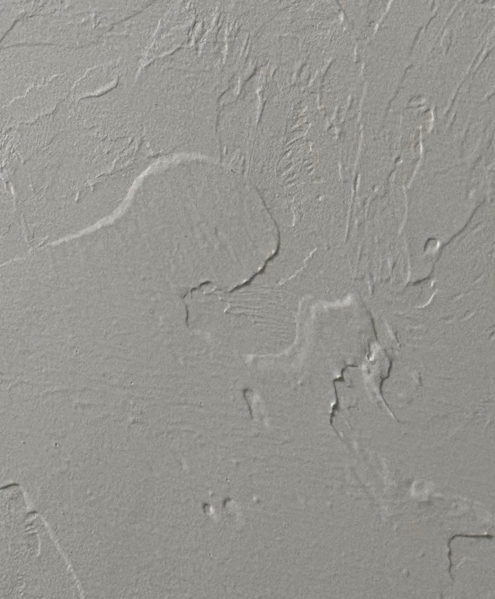 Isabella tweet media