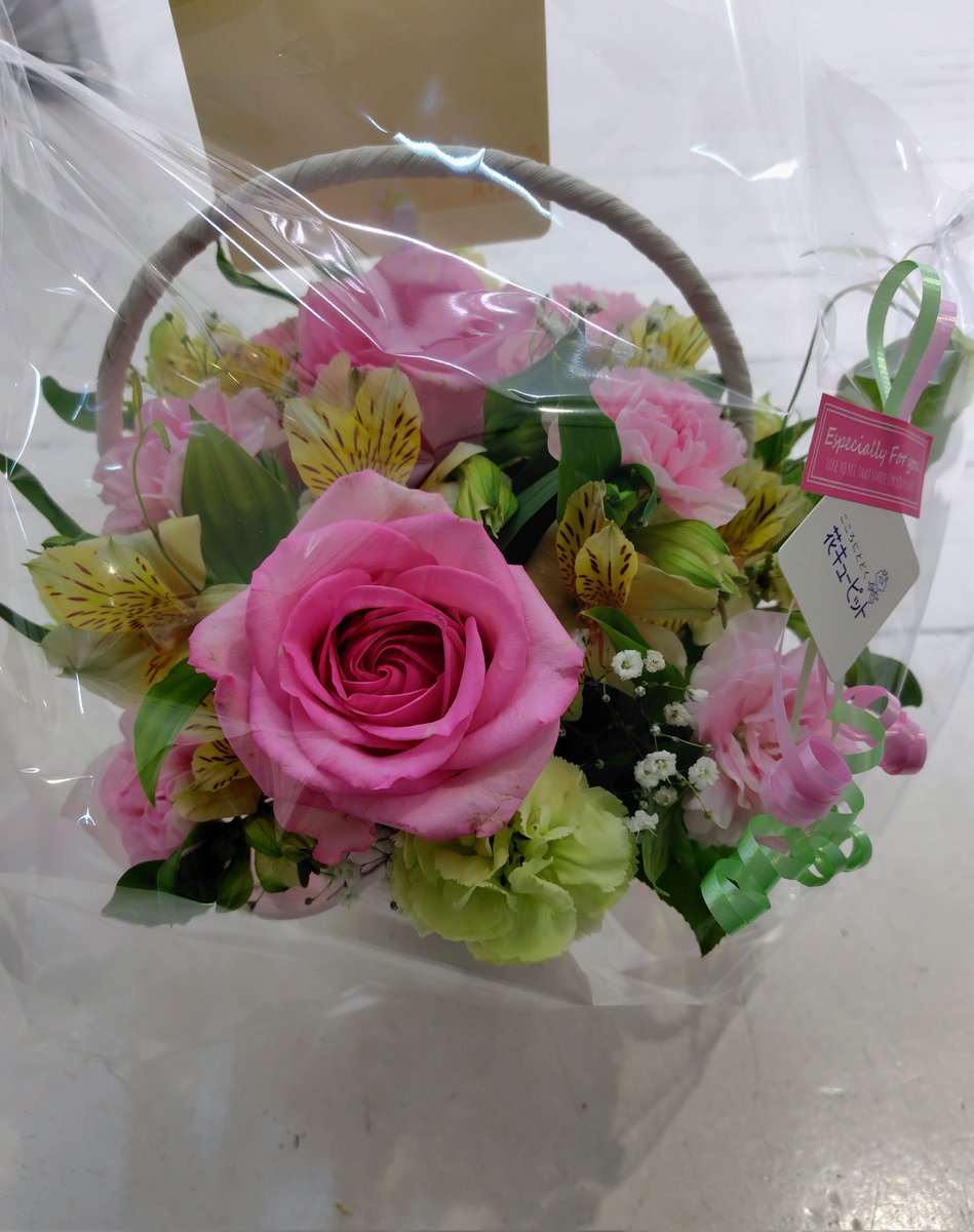 初夏陽気でした。
ロンドンに1羽飛び立ちました。

田口蓮華さん、近日の在廊予定は
あす12日(日)　
13日(月)

よろしくお願いいたします。

＊
Renge Taguchi［Birds and Persons］
2026. 4.8 (wed) - 18 (sat) 　　
Closed on 15 

gallerynayuta.com/2026/02/08/%E7…

#田口蓮華
#鳥と人