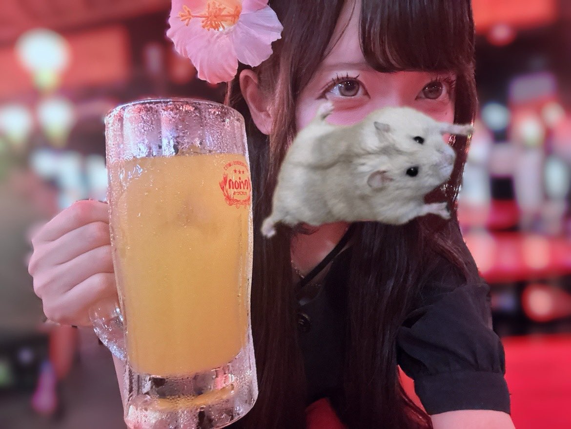 あくた 🎪 tweet media