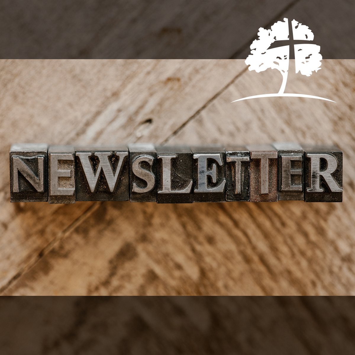 PecanChurch's tweet image. This week’s newsletter is now available.
.
Catch up on the latest news and prayer requests here: mailchi.mp/b6eb3a0772d3/p…
.
#PBCgranburyTX #GetInvolved #PecanBaptist