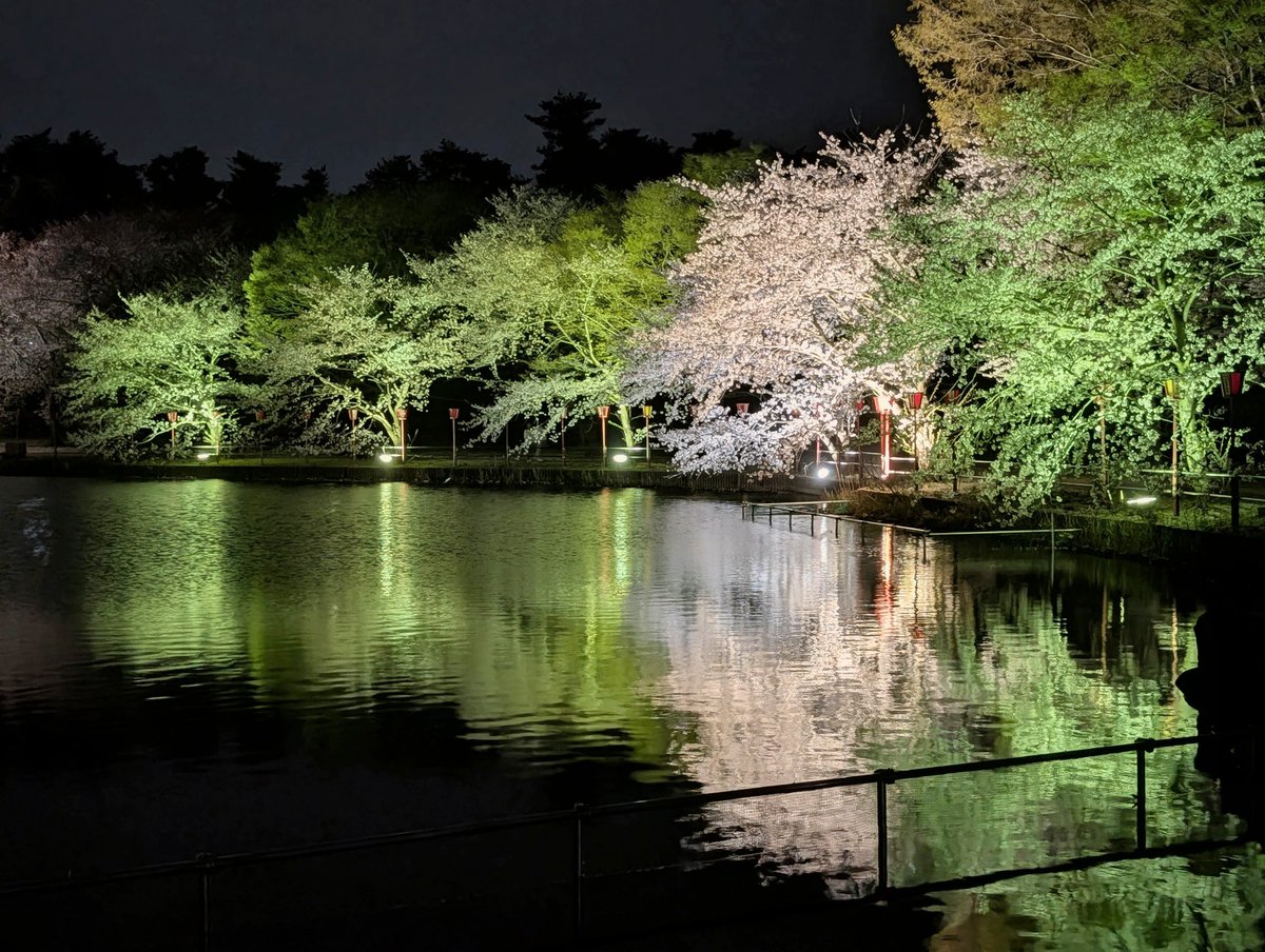 山川たんぼ tweet media