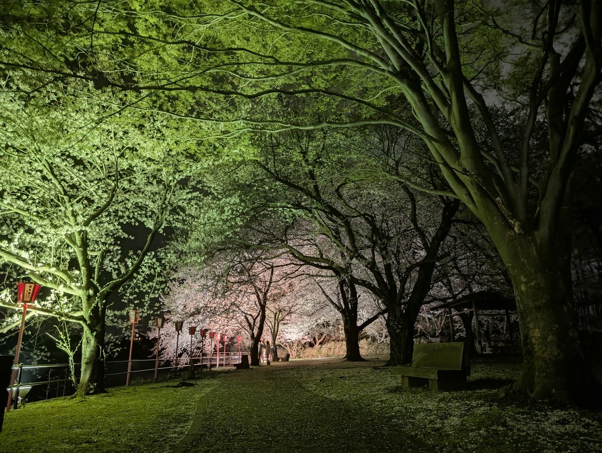 山川たんぼ tweet media