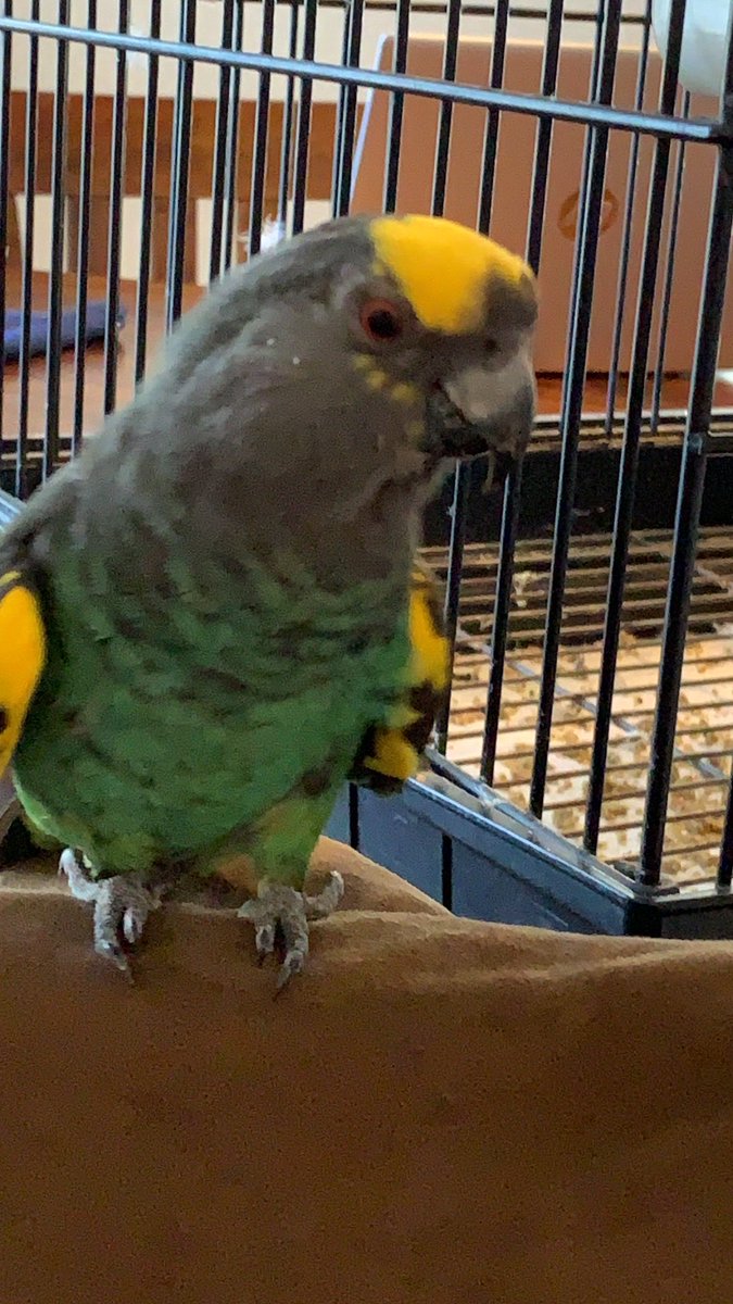 𝗝𝗲𝗳𝗳𝗿𝗲𝘆 ⚓️ tweet media