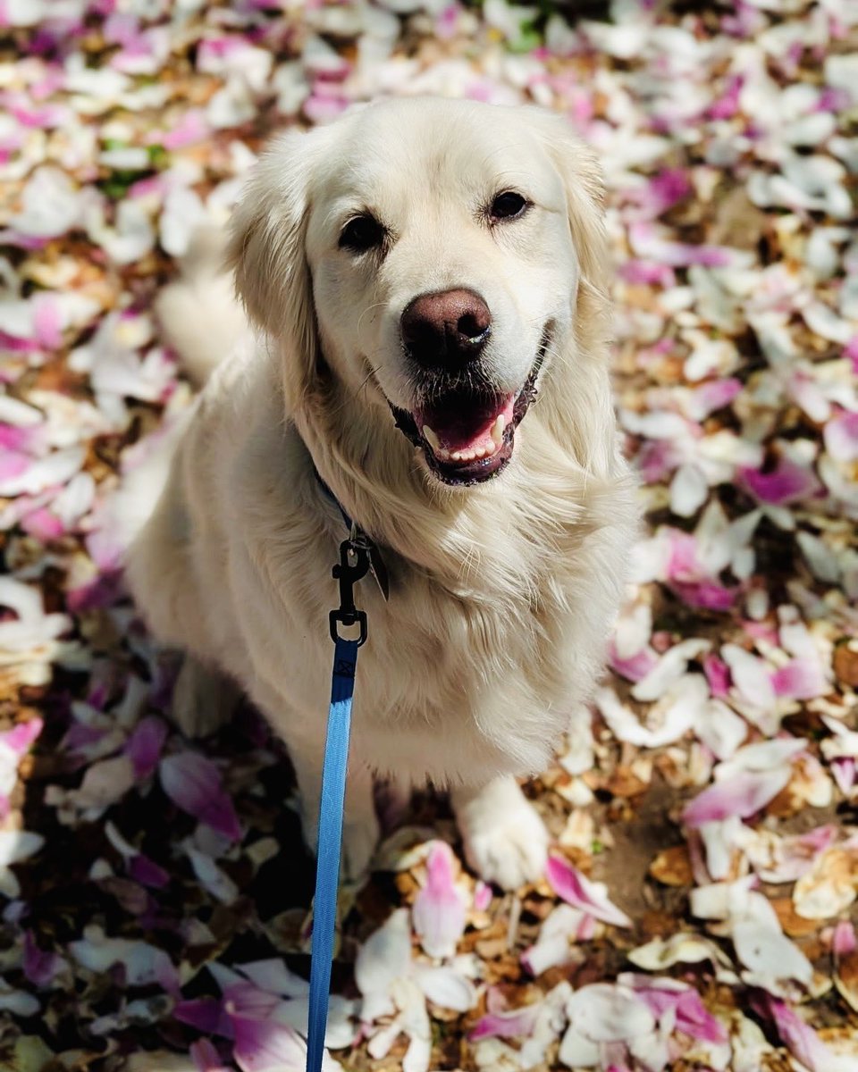 Governor Mikie Sherrill tweet media