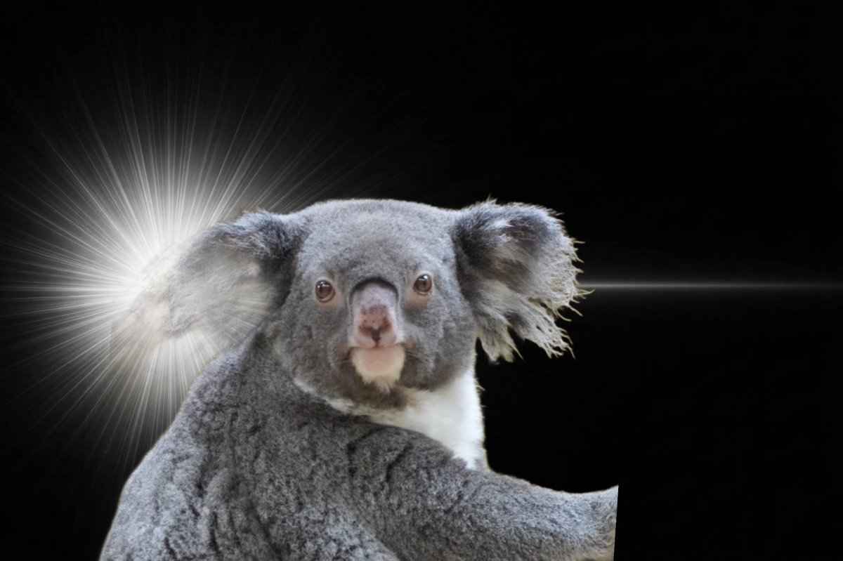 ﾁｬﾝｱｶ tweet media