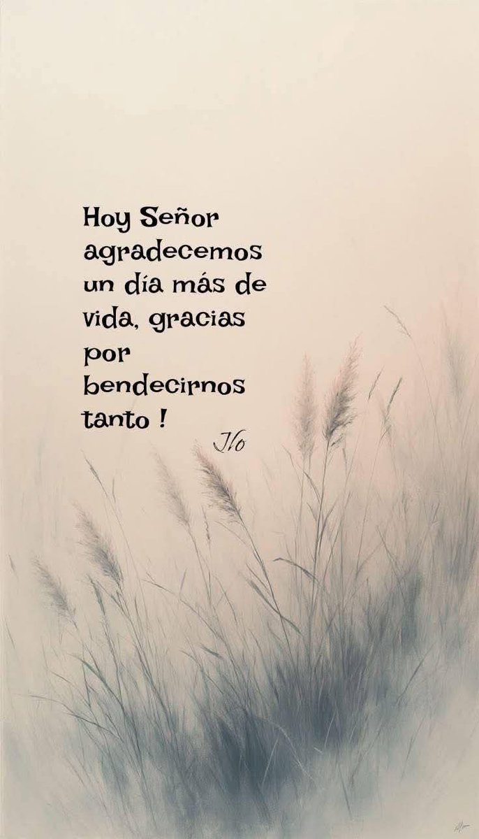 Un Católico Alegre tweet media