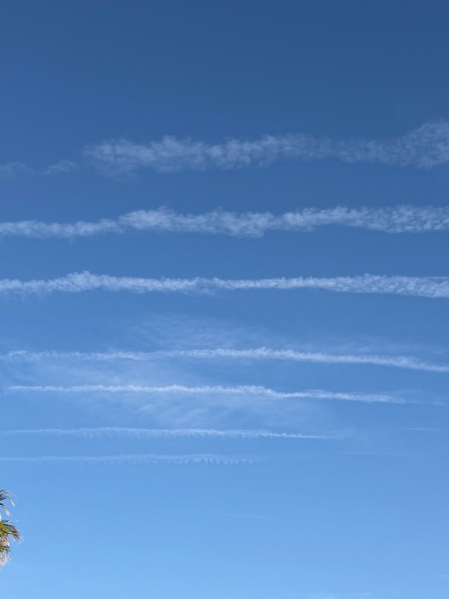 Darla Shine 👑 tweet media