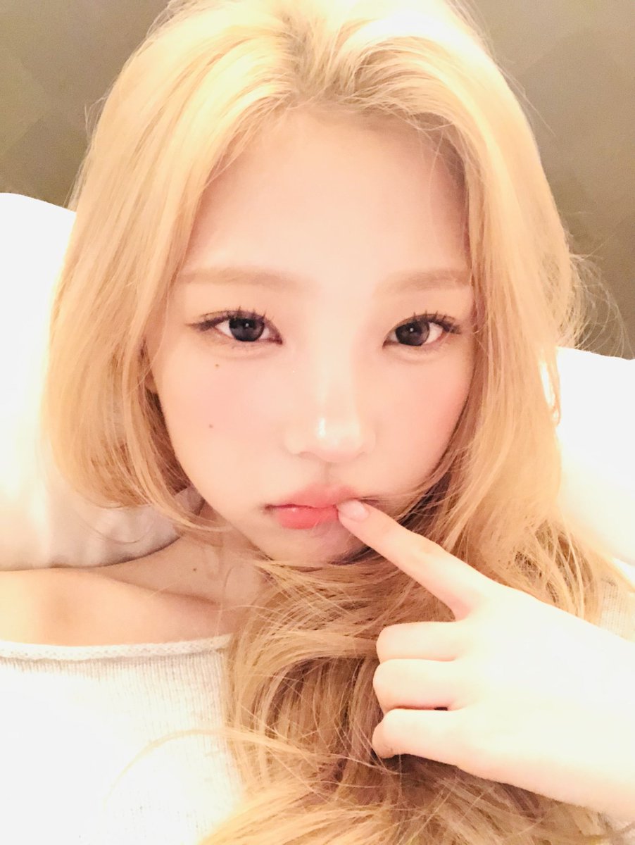 nyutellace's tweet photo. KOCAK DADAKU SENEP BGT... GABISA NAFAS... GIMANA INI... ADUH... GABISA MIKIR... MAAF KALO SELAMA INI AKU BANYAK SALAH... TAPI GA GINI CARANYA... PLSSS... DADAKU SAKIT... KAMU MAU APA CANTIK...? BLG AJA... MAU NIKAH DI MONAS...? MAU MENGUASAI BUMI...? MAU AKU...? ATAU APA...? DUH— https://t.co/PkfjtqEppq