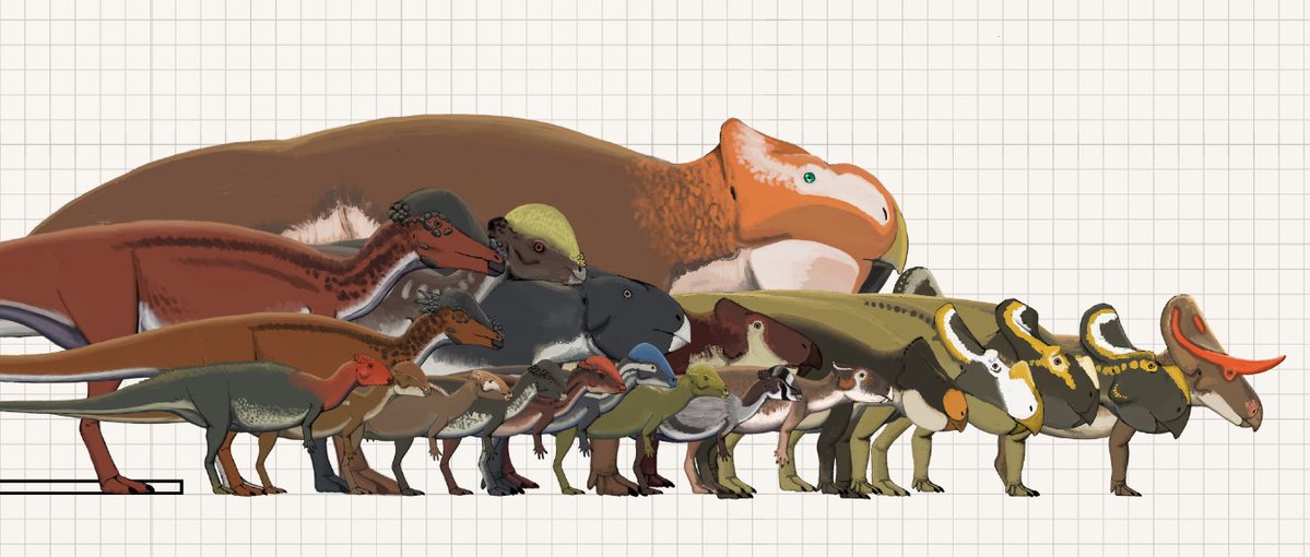 Junseok Choi (Tupan) tweet media