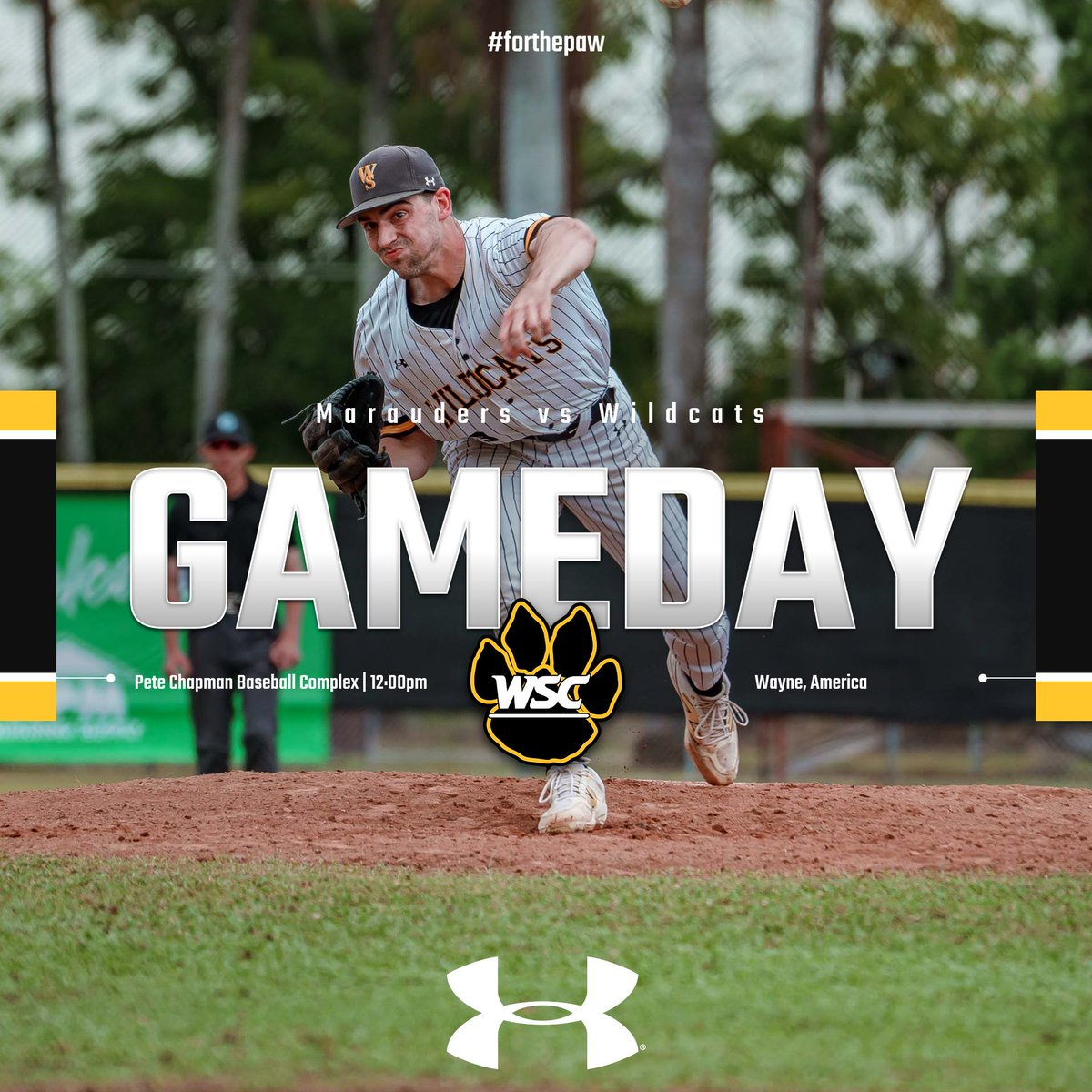 Wayne State Baseball tweet media