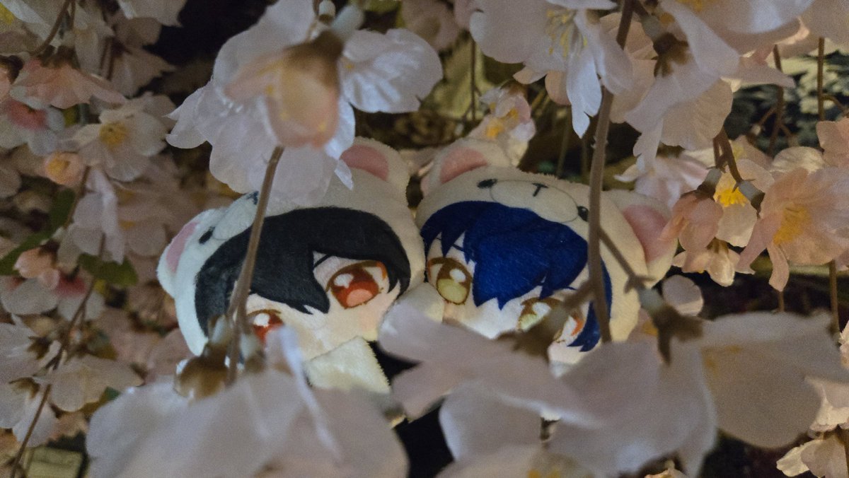 ちゃ🍵多忙🙏🙏 tweet media