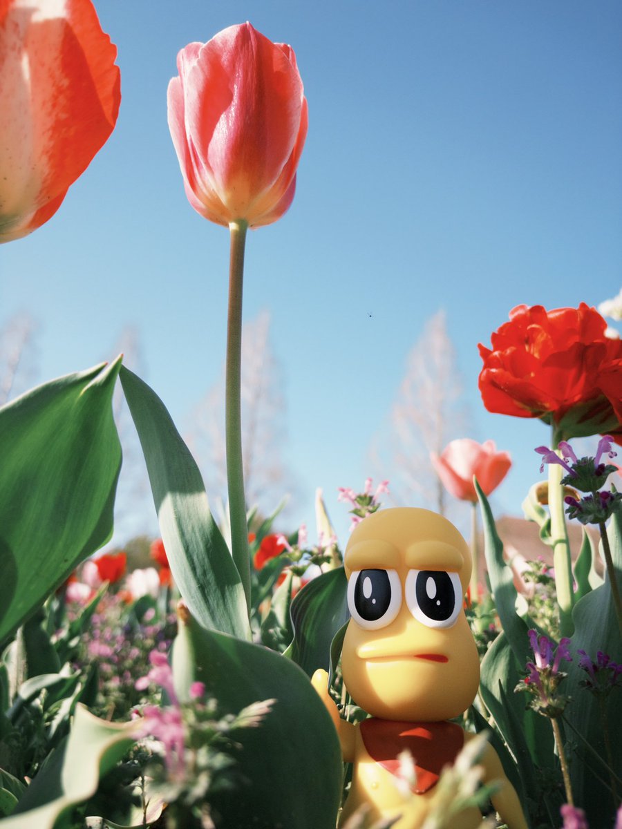 つきとじ🍃🥜 tweet media